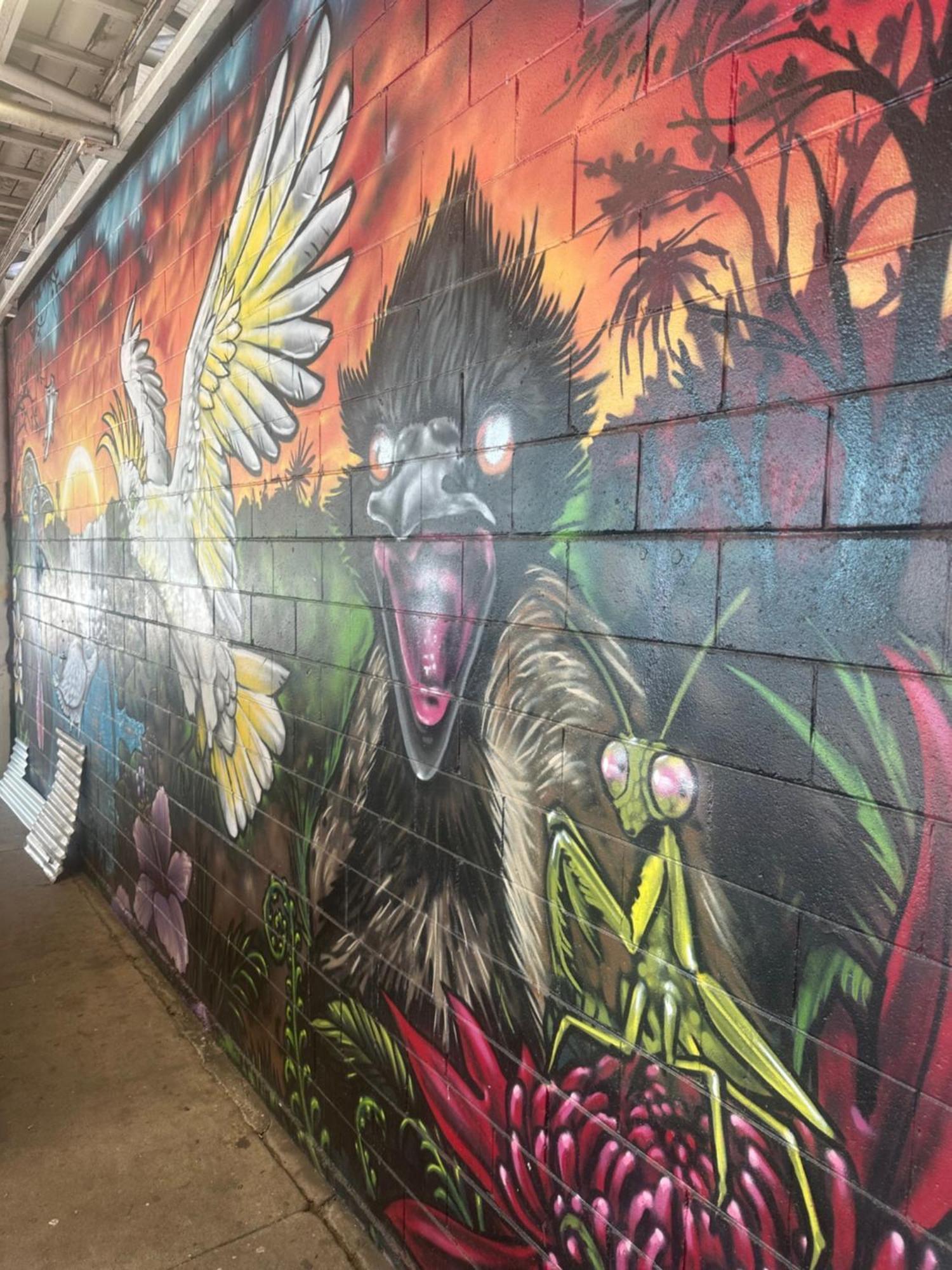 Habitat Backpackers Hostel Brisbane Exterior foto